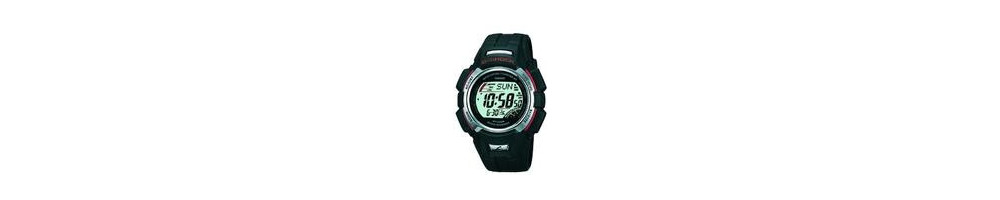 GW-300-1V ROK 2003