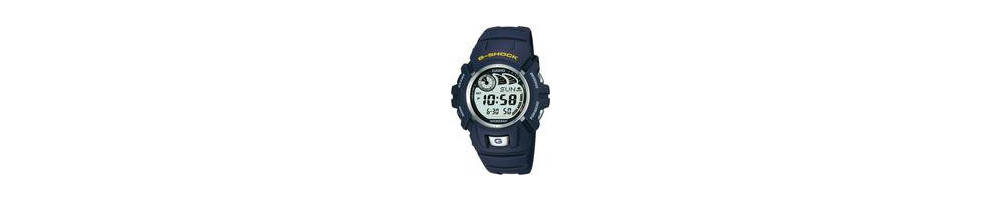 G-2900-2 ROK 2002