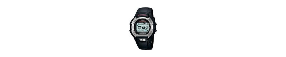 GW-800-1V ROK 2006