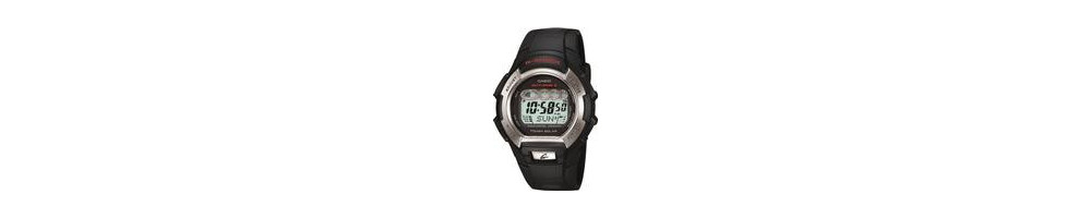 GW-810-1V ROK 2007