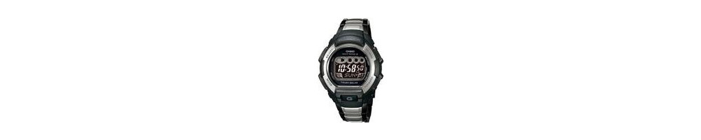GW-810BXD-1 ROK 2006