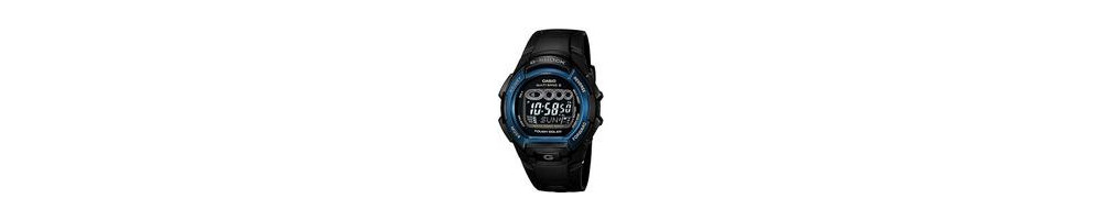 GW-810H-2 ROK 2007