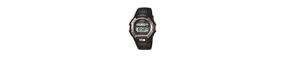GW-M850-1 ROK 2009