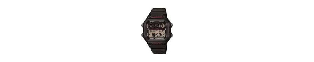 AE-1300WH-1A2V ROK 2014