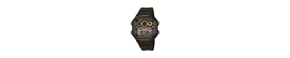AE-1300WH-1AV ROK 2014