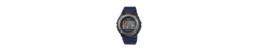 W-216H-2BV ROK 2016